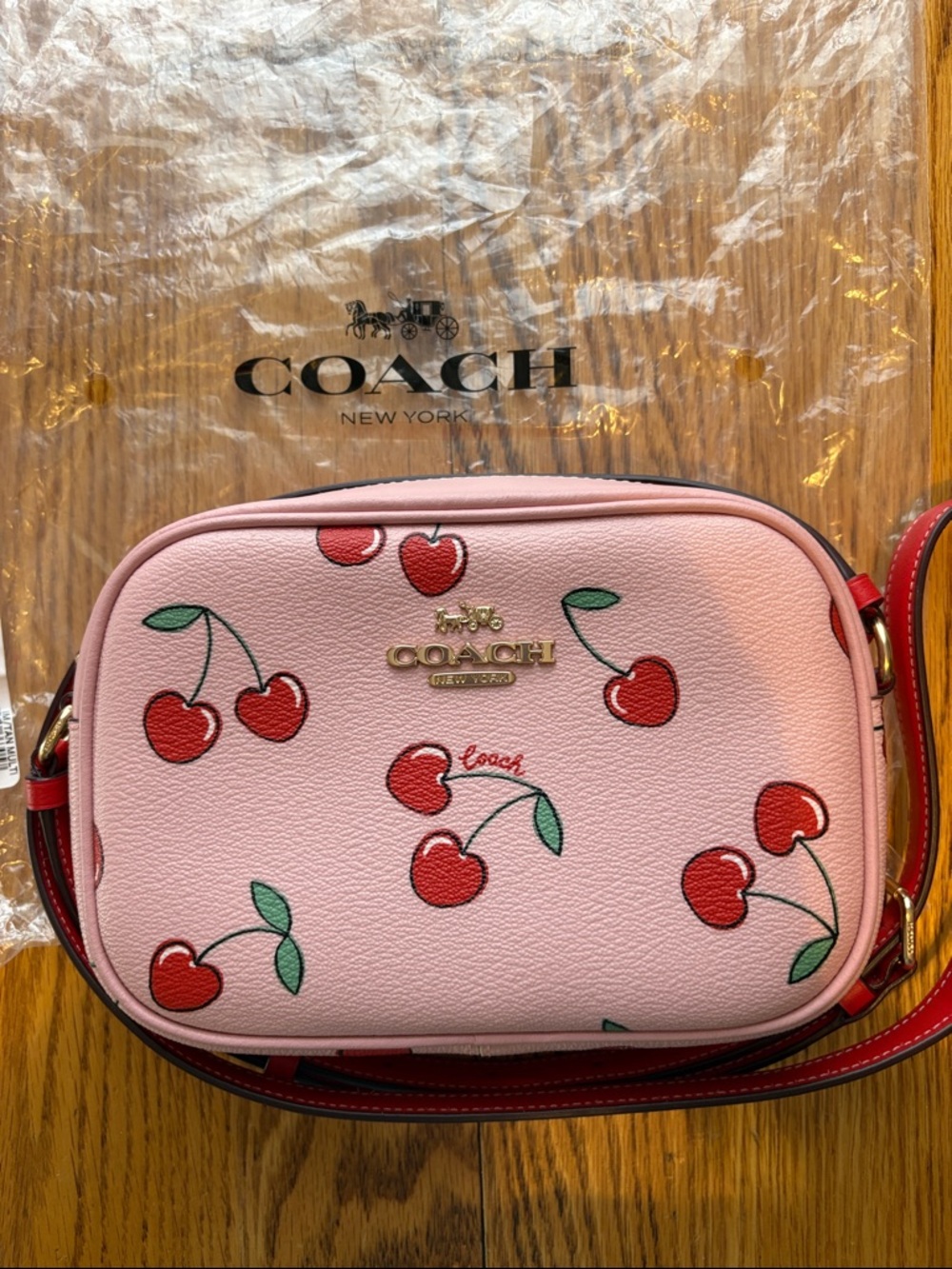 Coach Mini Jamie Camera Pink Cherry Print on Signature Canvas Crossbody Bag